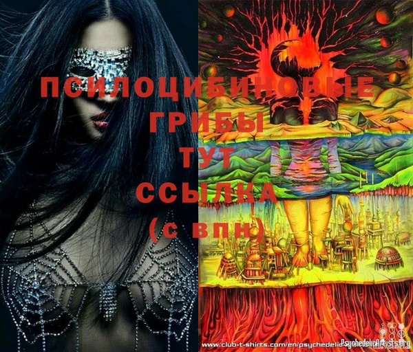 ешки Пестово