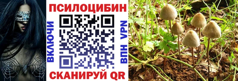 Галлюциногенные грибы GOLDEN TEACHER  даркнет сайт  Порхов 