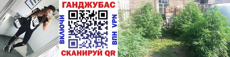 Канабис Bruce Banner Порхов